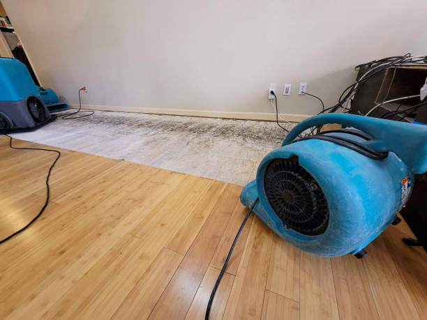 Professional Structural Drying technician working in Branson, MO